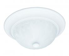 Savoy House Canada 6-13264-13-80 - 2-Light Ceiling Light in Matte White