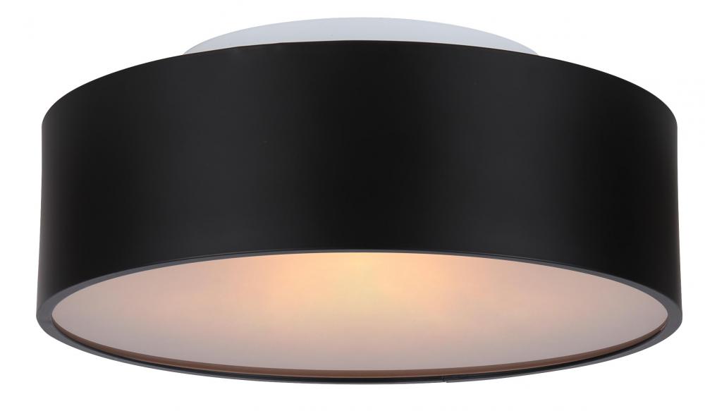 Dexter 2 Light Flush Mount, Black Finish